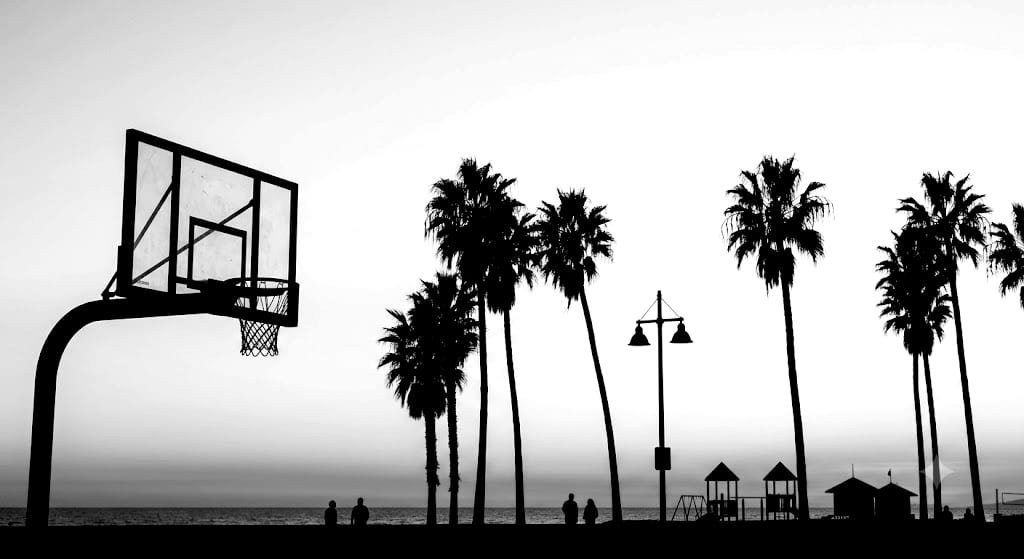 An outdoor basketball hoop silhouetted against a pale sky at dusk, with palm trees and the ocean beyond